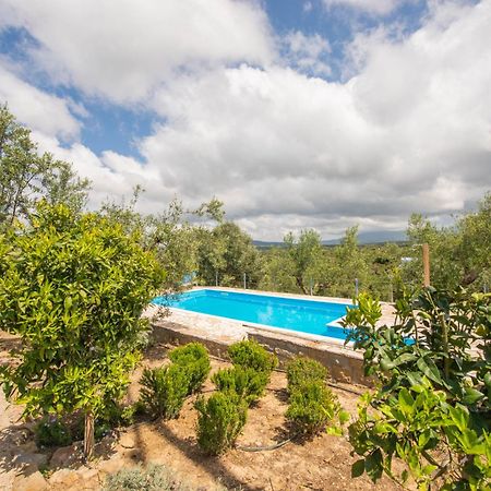 Hakuna Matata Holidays Wooden Lodge With Airco & Pool In Greek Olive Grove Methoni  Bagian luar foto