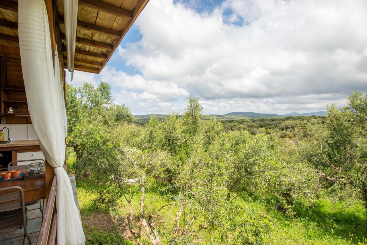 Hakuna Matata Holidays Wooden Lodge With Airco & Pool In Greek Olive Grove Methoni  Bagian luar foto