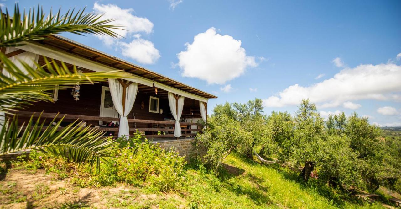 Hakuna Matata Holidays Wooden Lodge With Airco & Pool In Greek Olive Grove Methoni  Bagian luar foto