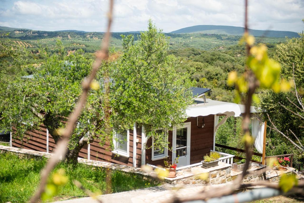 Hakuna Matata Holidays Wooden Lodge With Airco & Pool In Greek Olive Grove Methoni  Bagian luar foto