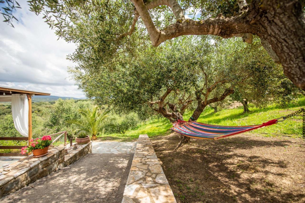 Hakuna Matata Holidays Wooden Lodge With Airco & Pool In Greek Olive Grove Methoni  Bagian luar foto