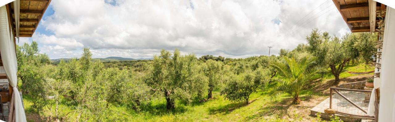 Hakuna Matata Holidays Wooden Lodge With Airco & Pool In Greek Olive Grove Methoni  Bagian luar foto