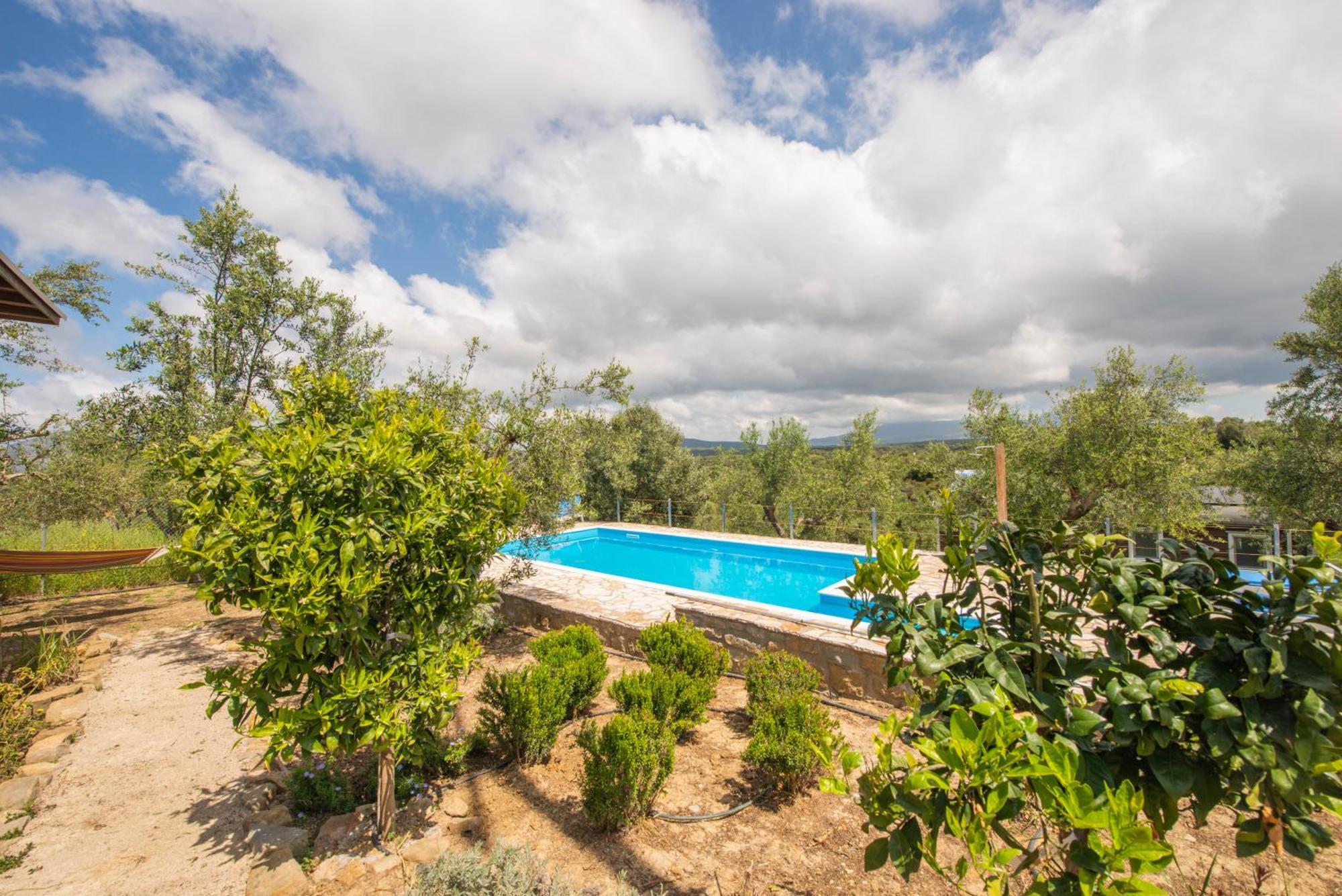 Hakuna Matata Holidays Wooden Lodge With Airco & Pool In Greek Olive Grove Methoni  Bagian luar foto