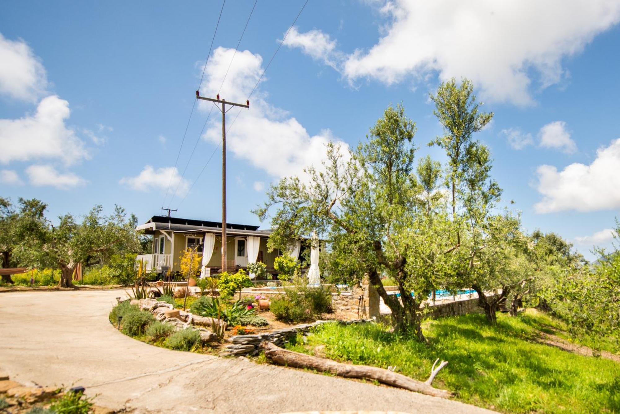 Hakuna Matata Holidays Wooden Lodge With Airco & Pool In Greek Olive Grove Methoni  Bagian luar foto